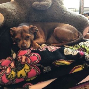 Meet your Posher, Marci